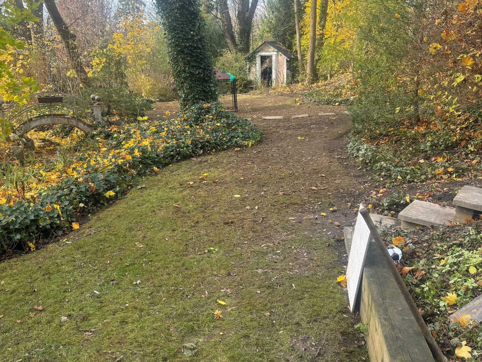 A wooded backyard in Fonthill after a fall cleanup: lawn raked clear of leaves, a dirt path leading back to a small garden shed