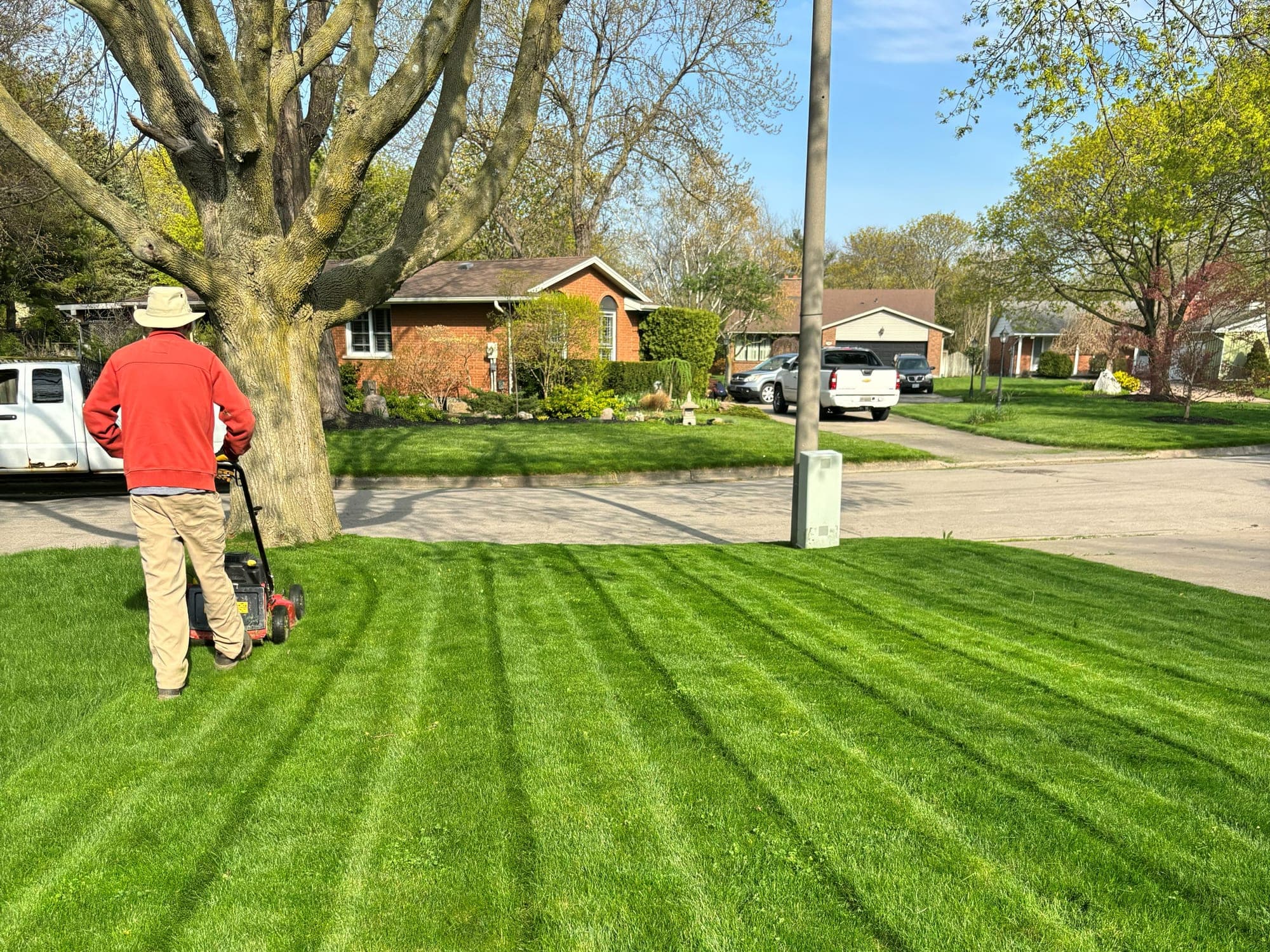 Crew member in a red jacket and sun hat push-mowing crisp stripes into a front lawn on a quiet residential street in Niagara Falls