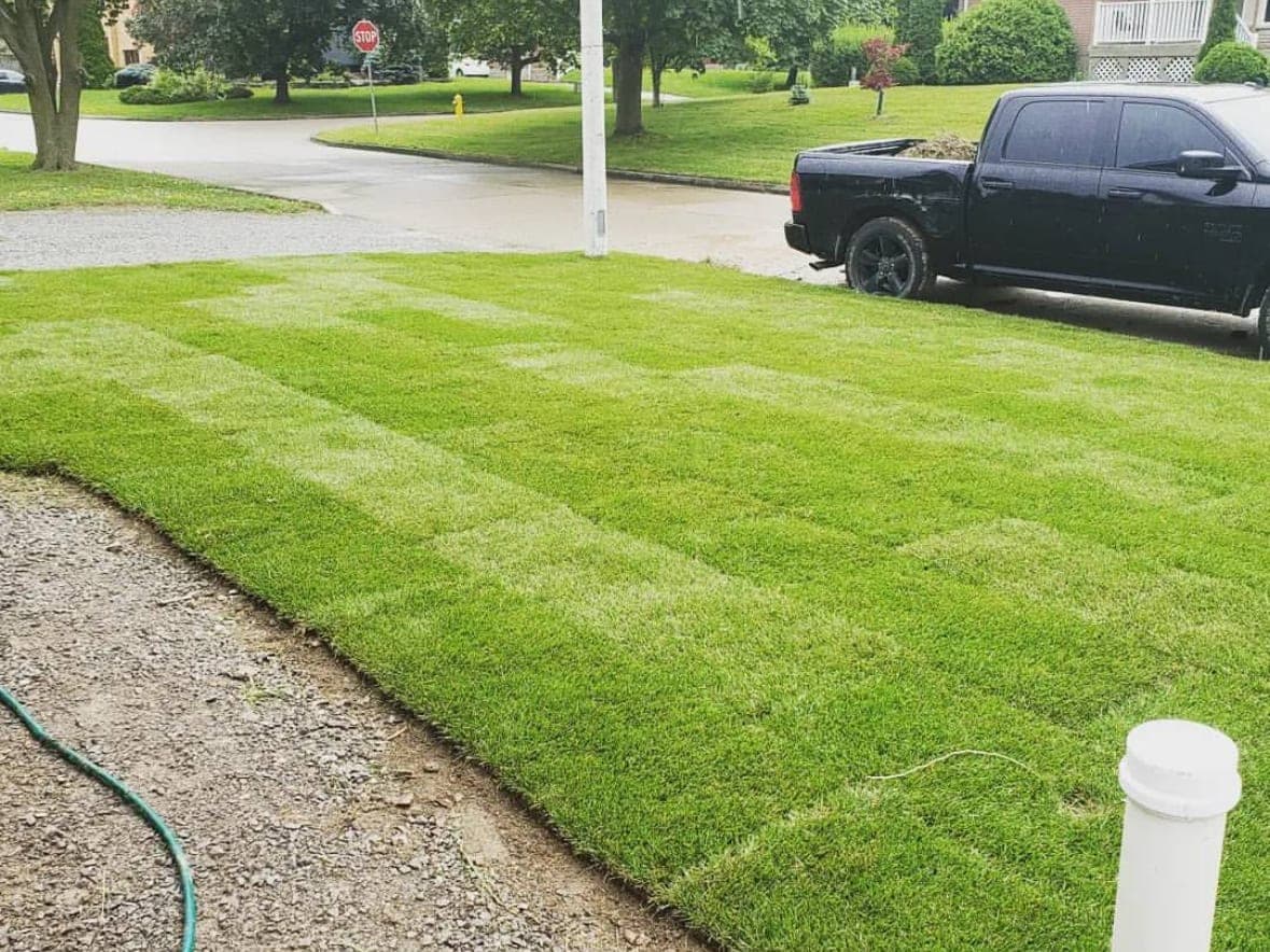 Freshly laid sod across a front lawn, the rolls' seams still visible, edged against a gravel driveway, with the crew's black pickup parked at the curb