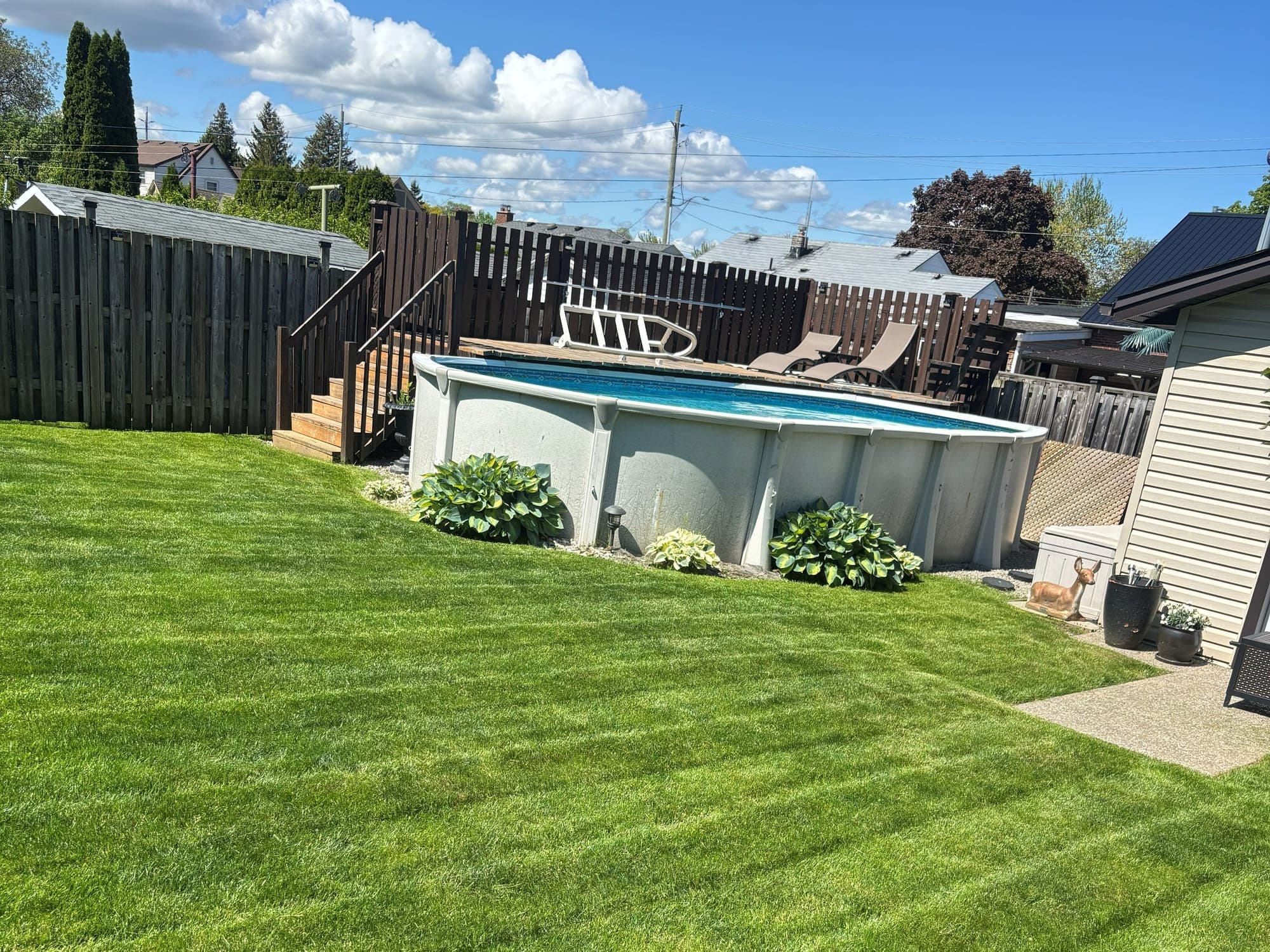 Freshly cut backyard lawn with crisp diagonal stripes at a managed residential property in St. Catharines, with an above-ground pool and wood privacy fence behind