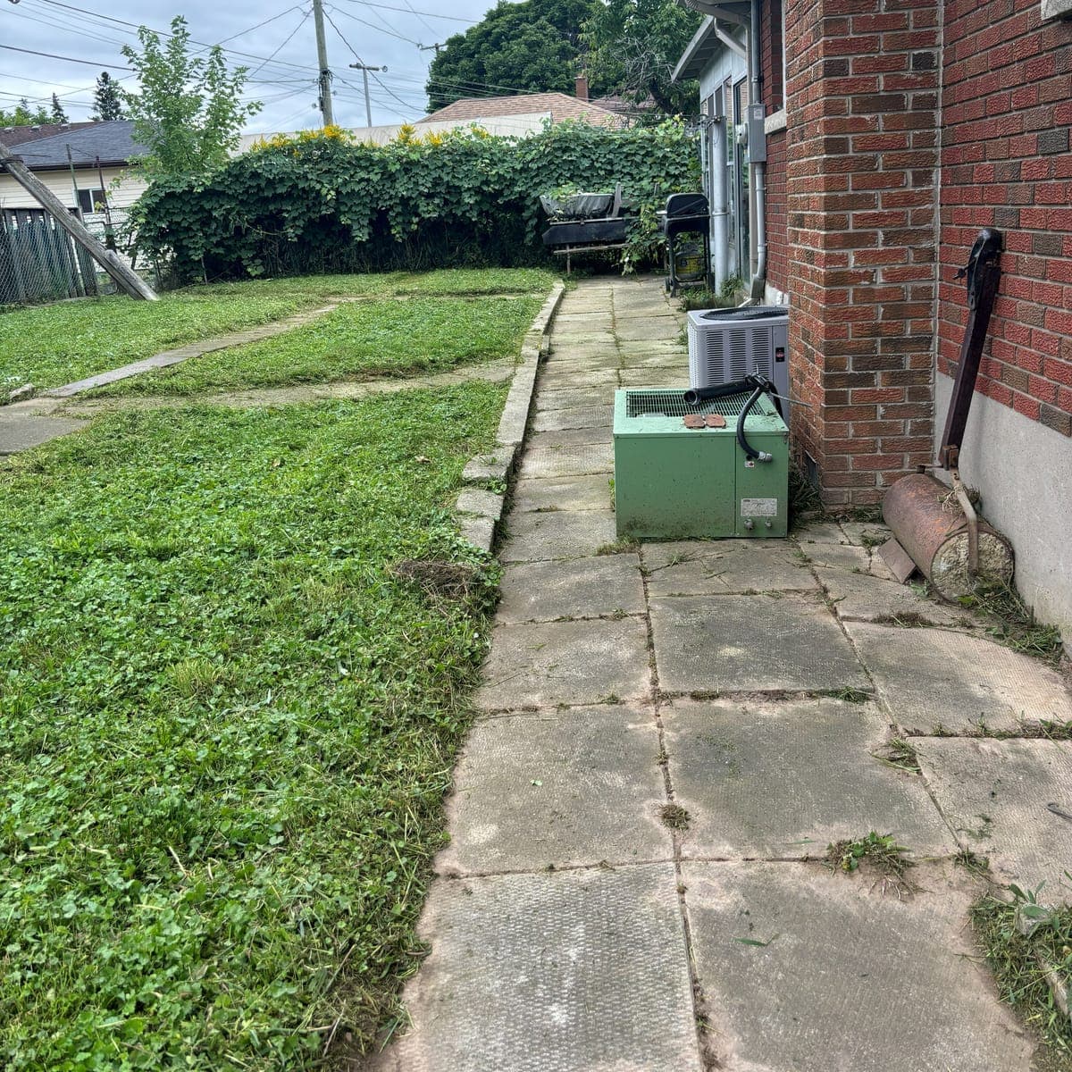 After: the same Welland side yard cut short, with the concrete walkway cleared and edged along the brick house
